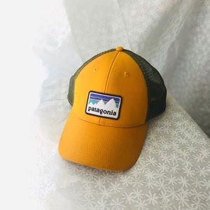 Patagonia trucker hat